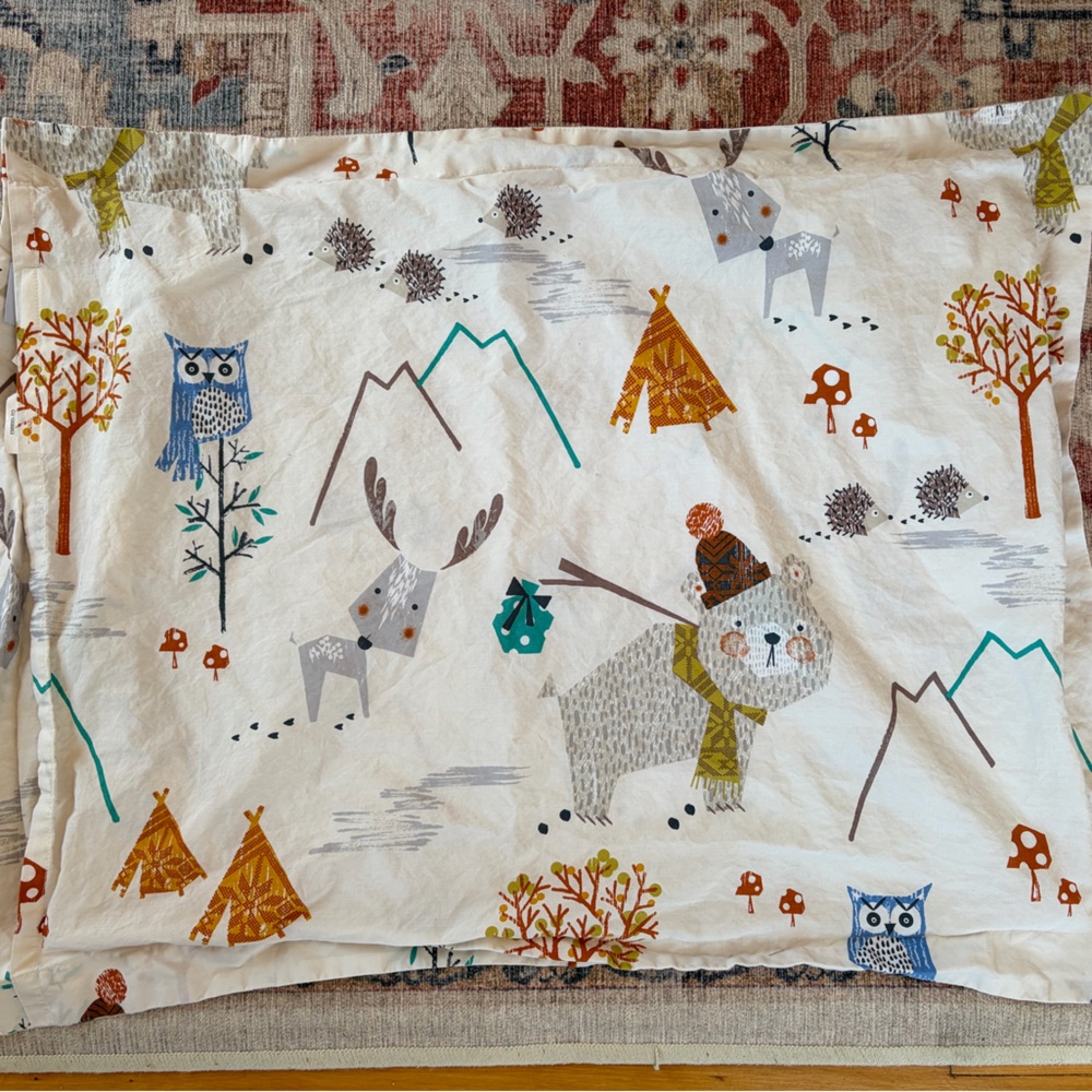 The Company Store Kids’ Organic Pillow Sham